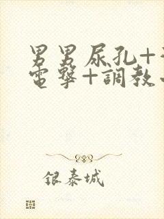 男男尿孔+灌+电击+调教小说封面