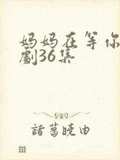 妈妈在等你电视剧36集