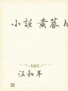小说 黄蓉 h