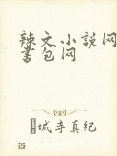 辣文小说网第二书包网