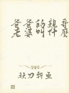 爸爸的亲哥哥的老婆叫什么称呼封面