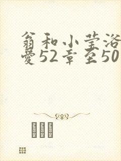 翁和小莹浴室欢爱52章至50集封面