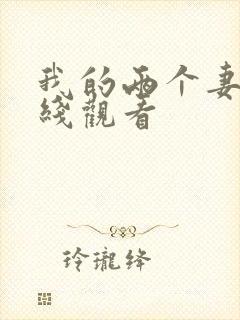 我的两个妻子在线观看