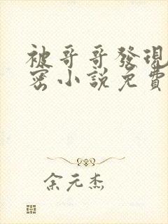 被哥哥发现的秘密小说免费阅读全文
