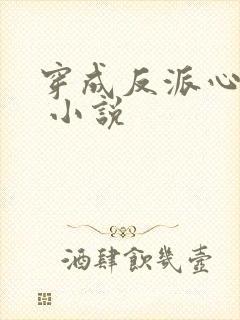穿成反派心尖宠 小说封面
