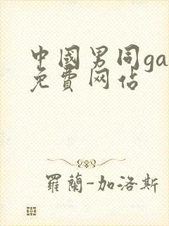 中国男同gay免费网站封面