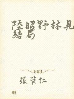 陆昭野林见疏大结局