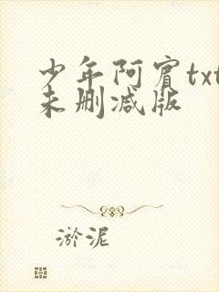 少年阿宾txt未删减版