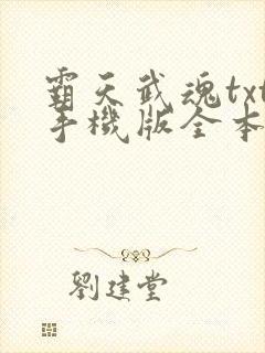霸天武魂txt手机版全本txt