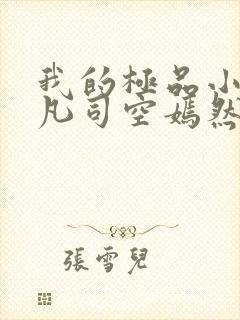我的极品小姨叶凡司空嫣然封面