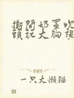 撕开奶罩吮揉奶头玩大胸视频