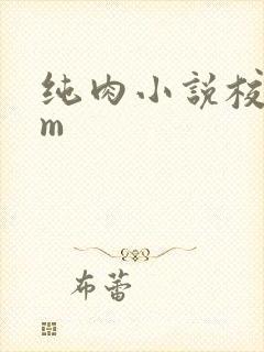 纯肉小说校园sm