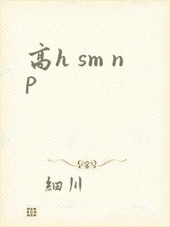高h sm np