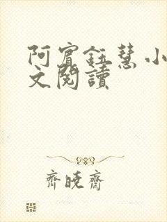 阿宾钰慧小说全文阅读