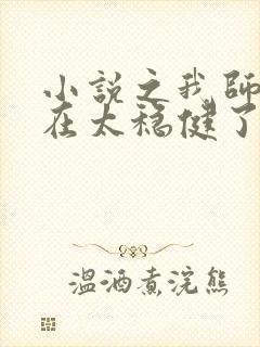 小说之我师兄实在太稳健了