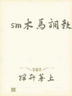 sm木马调教文