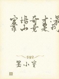 官场奇才:最强靠山竟是我自己李澜