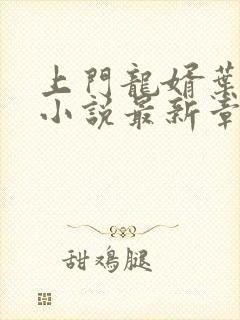 上门龙婿叶辰 小说最新章节
