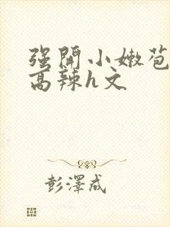 强开小嫩苞h文高辣h文封面