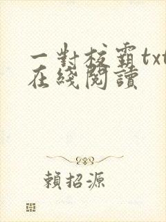 一对校霸txt在线阅读封面