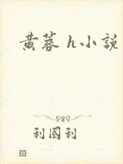 黄蓉 h小说封面