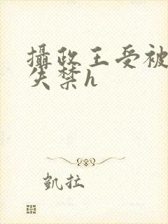 摄政王受被肉到失禁h