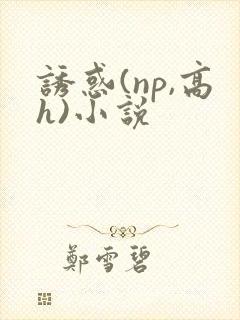 诱惑(np,高h)小说