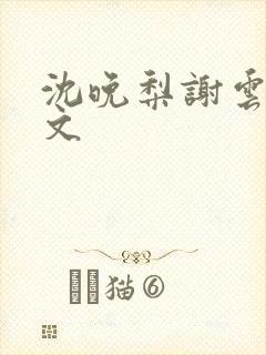 沈晚梨谢云迟全文