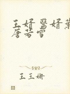 王婿 医婿叶凡唐若雪