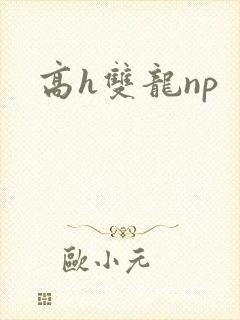 高h双龙np