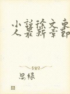 小说徐文东林伊人最新章节阅读全文