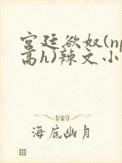 宫廷欲奴(np高h)辣文小说