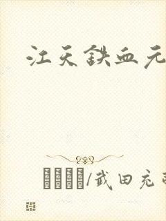 江天铁血元帅