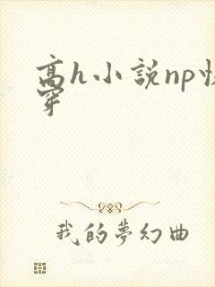 高h小说np快穿