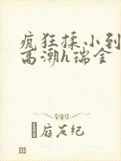 疯狂揉小到失禁高潮h瑞金