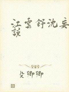 江云舒沈妄野小说