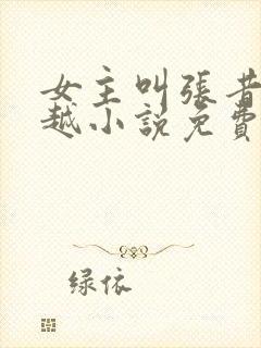 女主叫张昔年穿越小说免费阅读封面