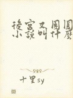 后宫又团圆原著小说叫什么名字