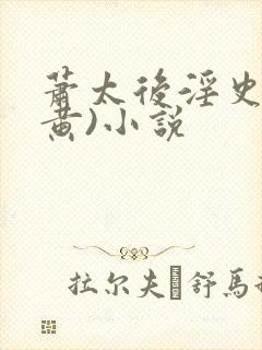 萧太后淫史(全黄)小说封面