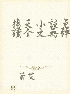 杨天小说免费阅读全文无弹窗