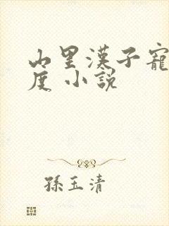 山里汉子宠妻无度 小说封面