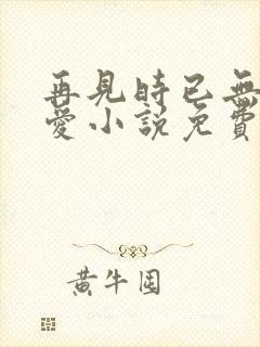 再见时已无恨无爱小说免费阅读封面