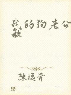 我的狗老公张淑敏封面