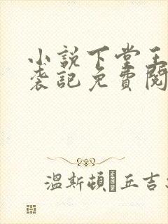 小说下堂王妃逆袭记免费阅读