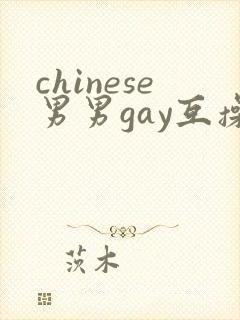 chinese男男gay互操