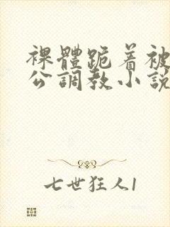 裸体跪着被全班公调教小说封面
