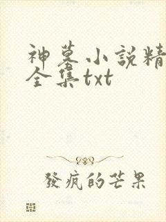 神墓小说精校版全集txt