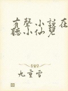 有声小说在线收听小仙儿