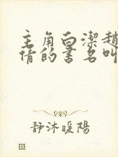 主角白洁赵敏张倩的书名叫什么