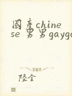 国产chinese 男男gaygay网站